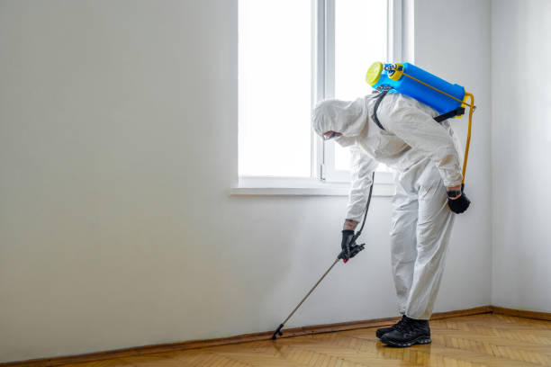 Best Emergency Pest Control  in Warminster Heights, PA