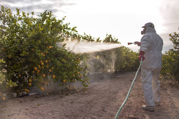 Best Pest Control Treatment  in Warminster Heights, PA