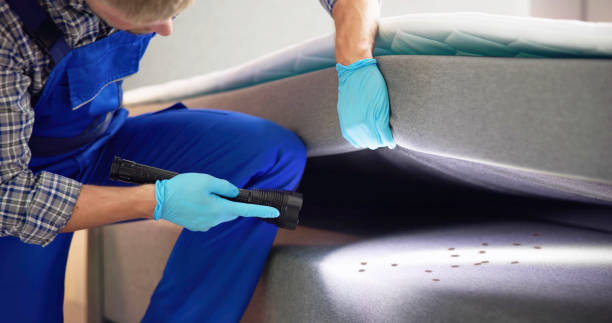 Best Pest Inspection Near Me  in Warminster Heights, PA