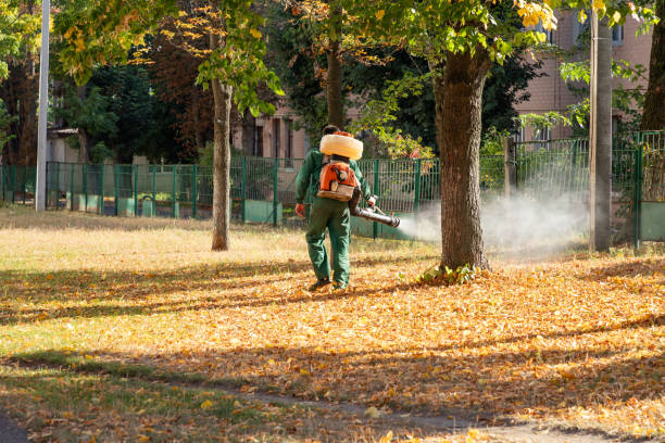 Best Best Pest Control Companies  in Warminster Heights, PA